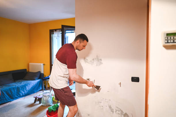 Best Fast Mold Removal  in River Edge, NJ